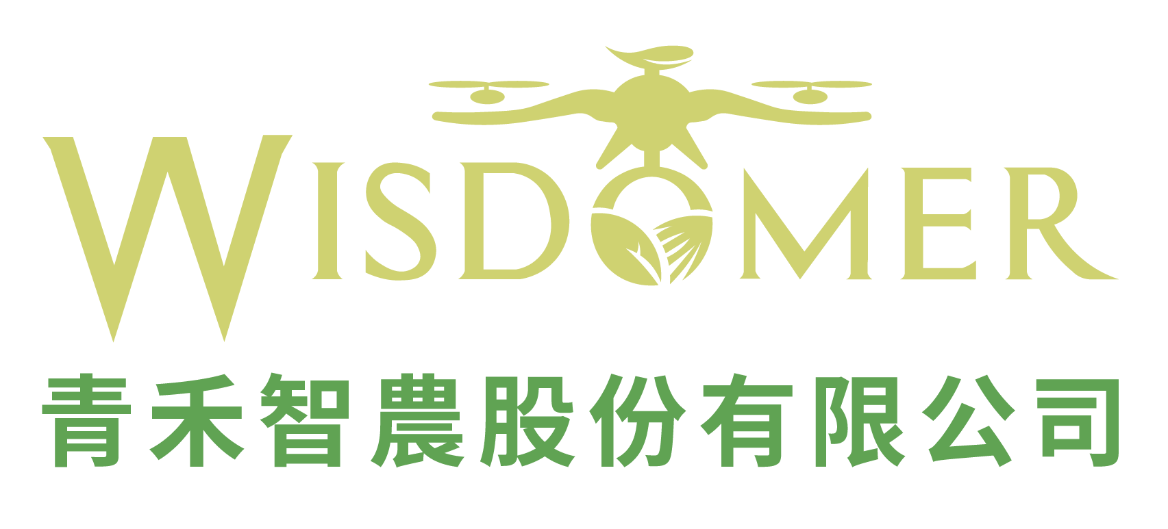 Wisdomer