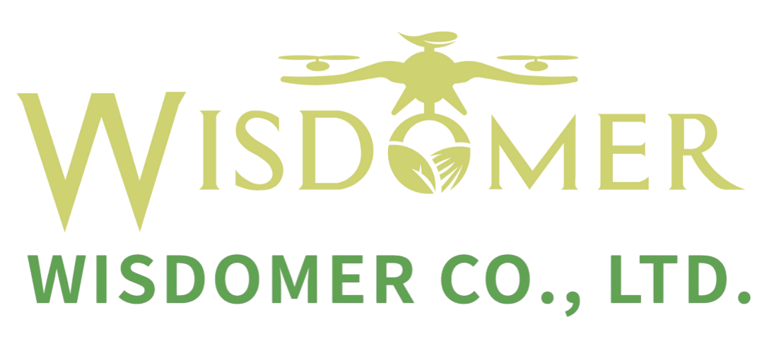 wisdomer.com